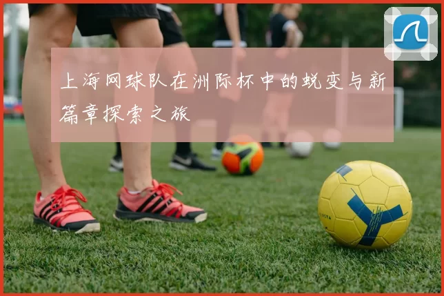 上海网球队在洲际杯中的蜕变与新篇章探索之旅