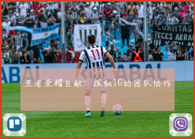 王者荣耀巨献：探秘IG的团队协作