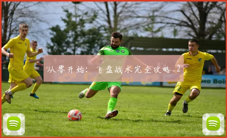 从零开始：飞盘战术完全攻略_2