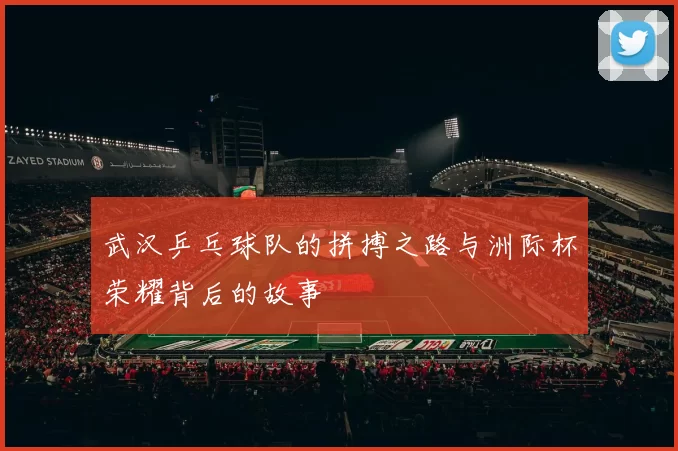 武汉乒乓球队的拼搏之路与洲际杯荣耀背后的故事